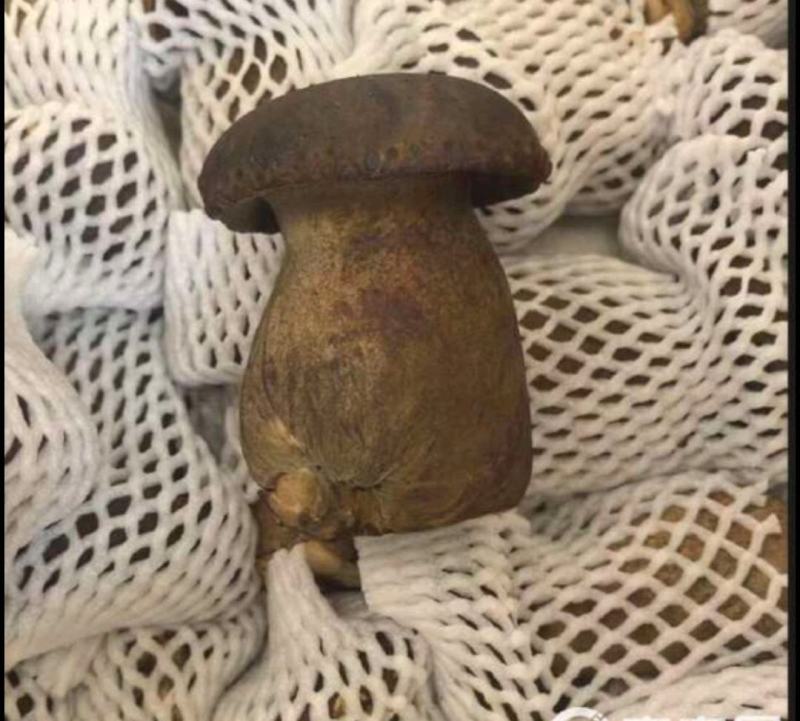 黑牛肝菌（承接电商发货）