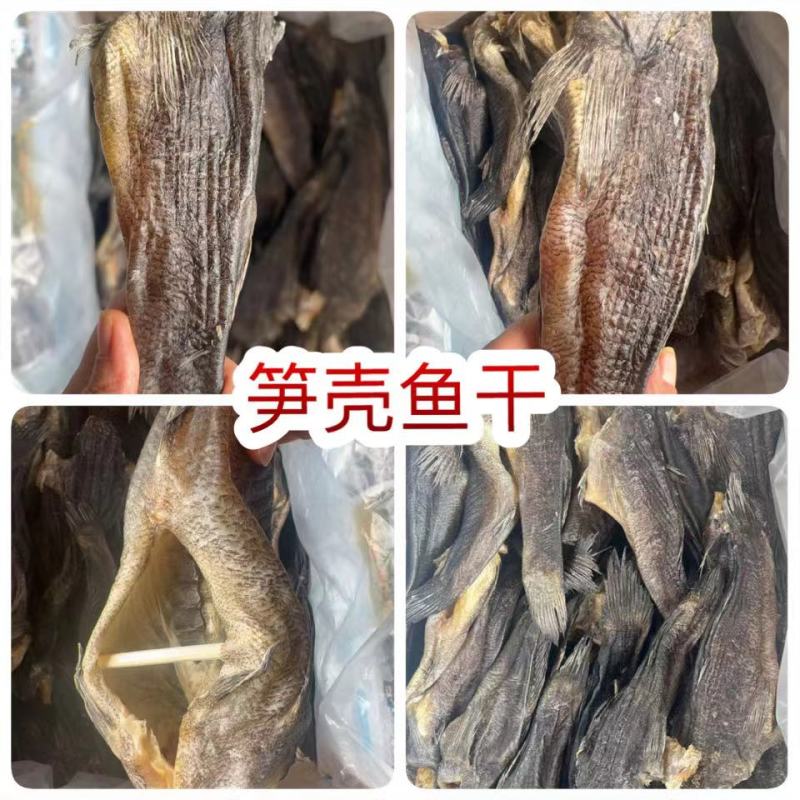 笋壳鱼干地摊批发电商笋壳鱼干干鱼淡水鱼干