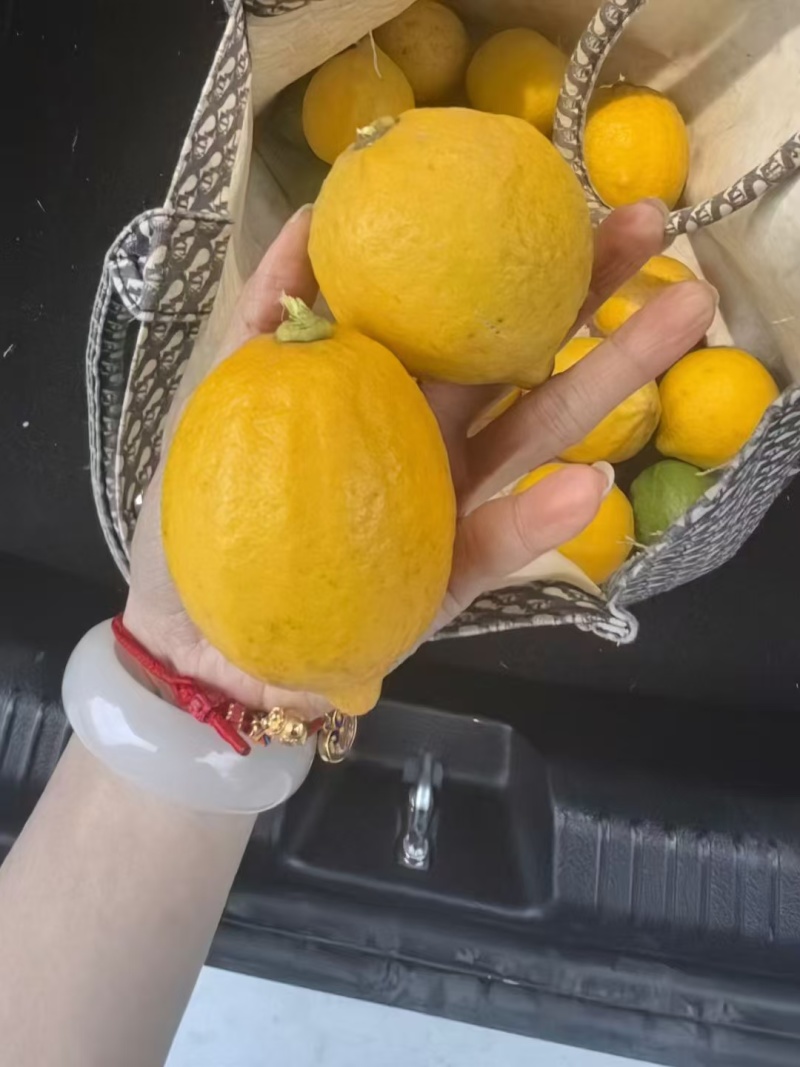香水柠檬
