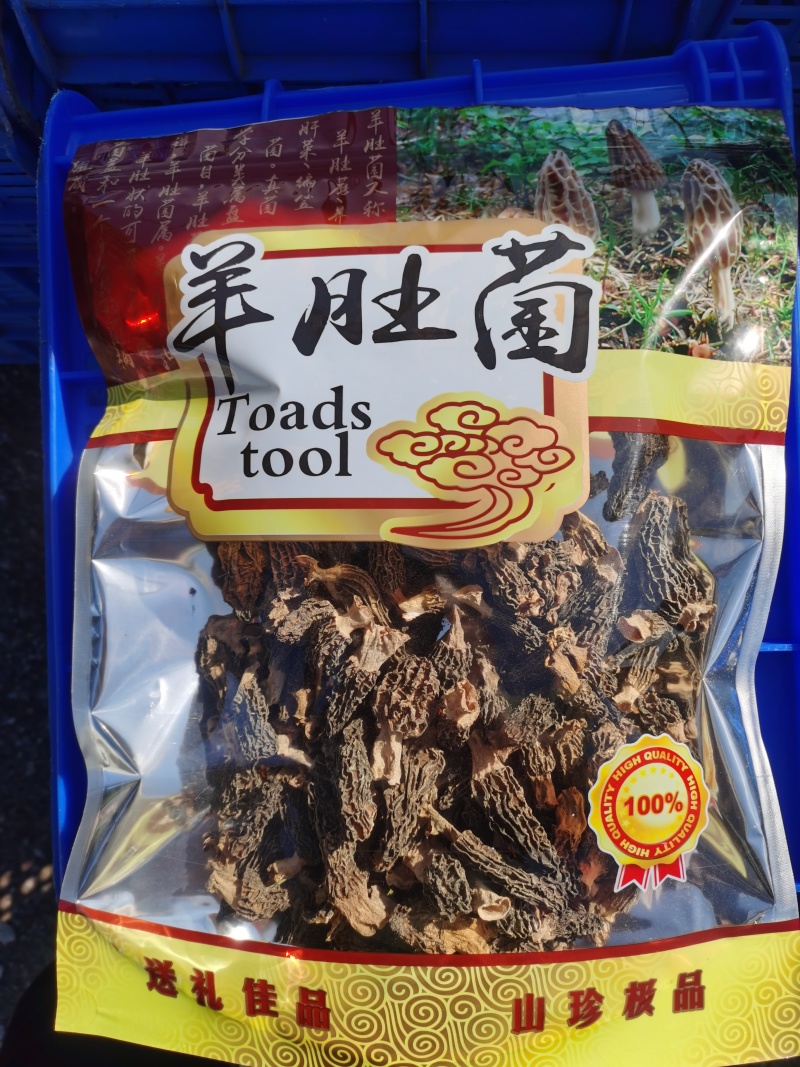 羊肚菌，开始上市了。干货鲜货，6妹7妹都有。