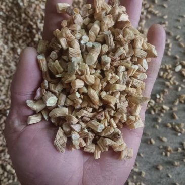 甘肃防风颗粒，物美价廉，产地直供，欢迎选购