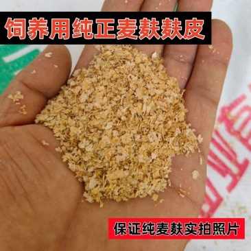 超诱鱼饵散装麦麸烤麸小麦胚芽特香烘炒麦胚基础饵料钓鱼鱼饵