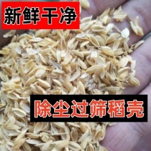 稻壳批发家禽家畜养殖饲料垫料干净无霉变规格齐全多样稻谷壳