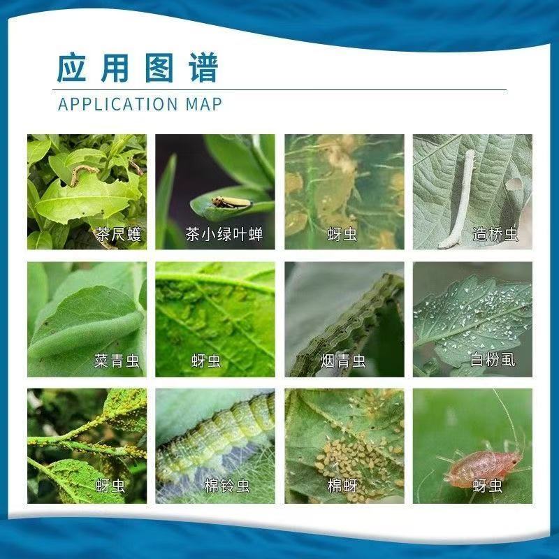 先正达阿立卡噻虫高氯氟蚜虫白粉虱绿叶蝉菜青虫进口杀虫剂