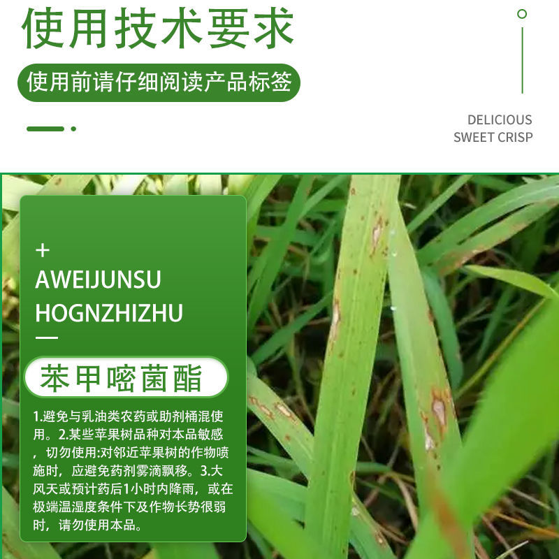 先正达阿米妙收苯甲嘧菌酯水稻西瓜黑星蔓枯纹枯病进口**剂