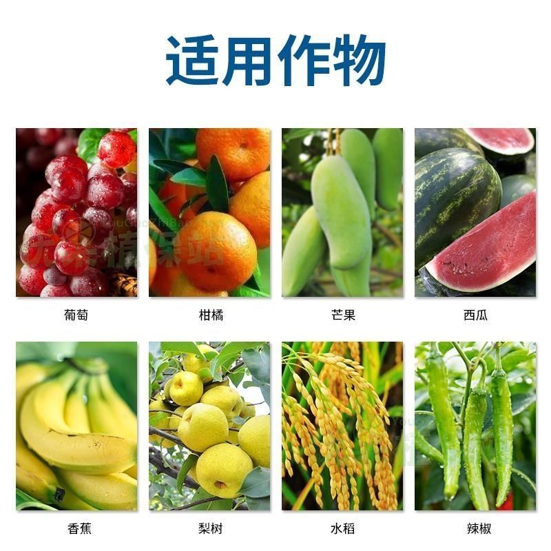 先正达阿米妙收苯甲嘧菌酯水稻西瓜黑星蔓枯纹枯病进口**剂