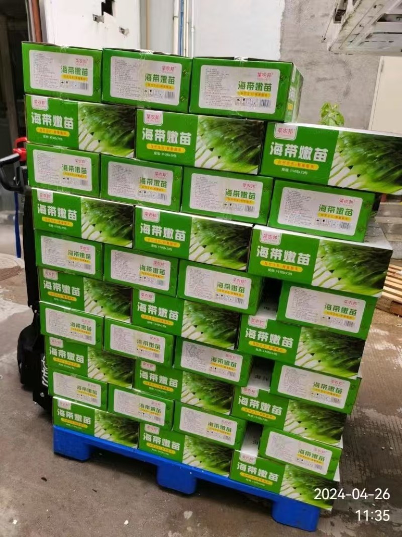 菜农邦海带苗，无盐干净海带嫩苗350克×20包/箱
