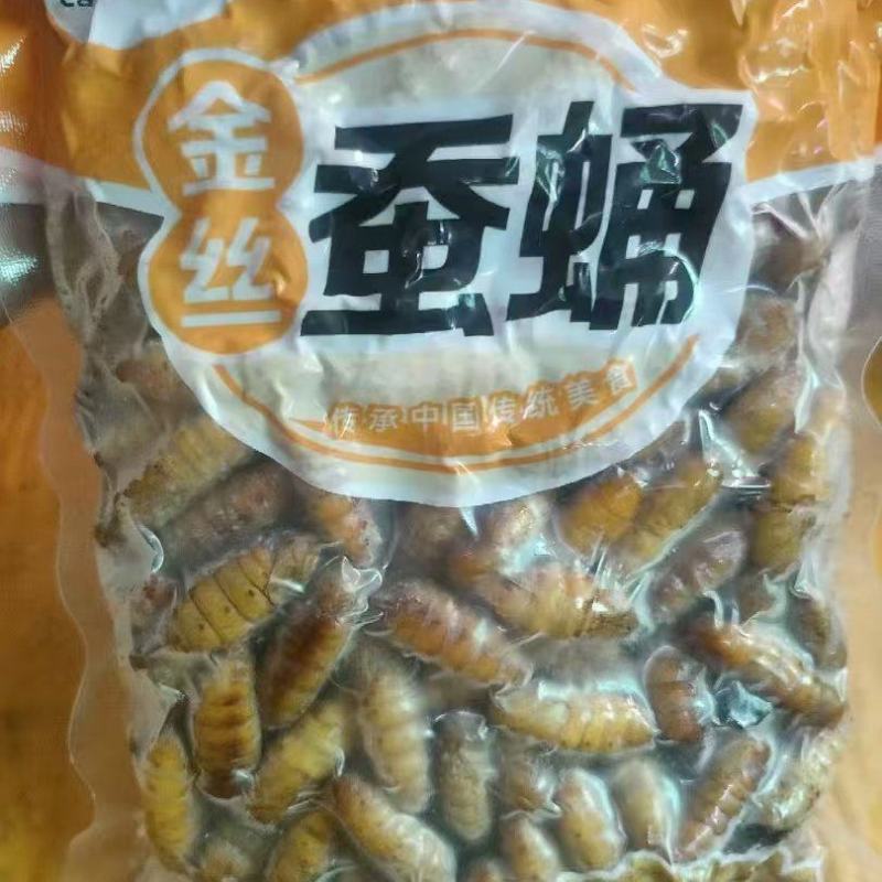 蚕蛹，金丝蚕蛹