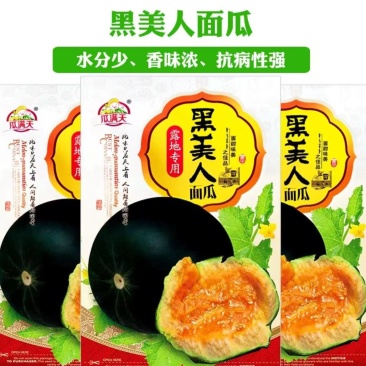 黑美人面瓜种子甜度高口感好香味浓郁大面积种植