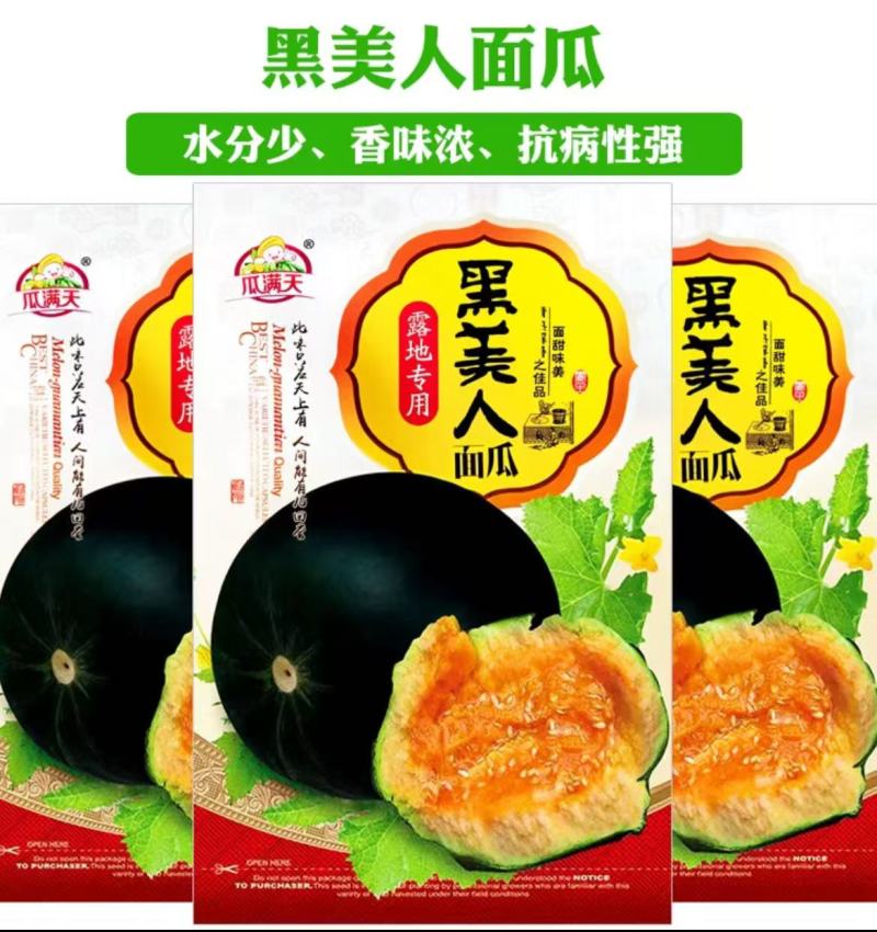 黑美人面瓜种子甜度高口感好香味浓郁大面积种植