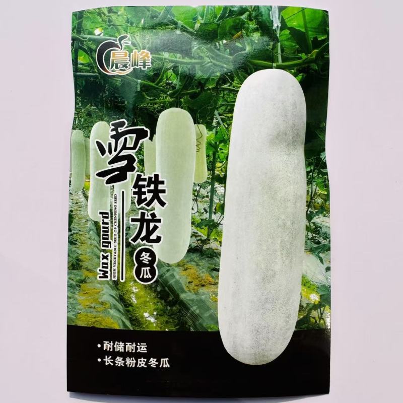 晨峰雪铁龙冬瓜种子炮弹形特大粉皮冬瓜种子新一代中熟品种