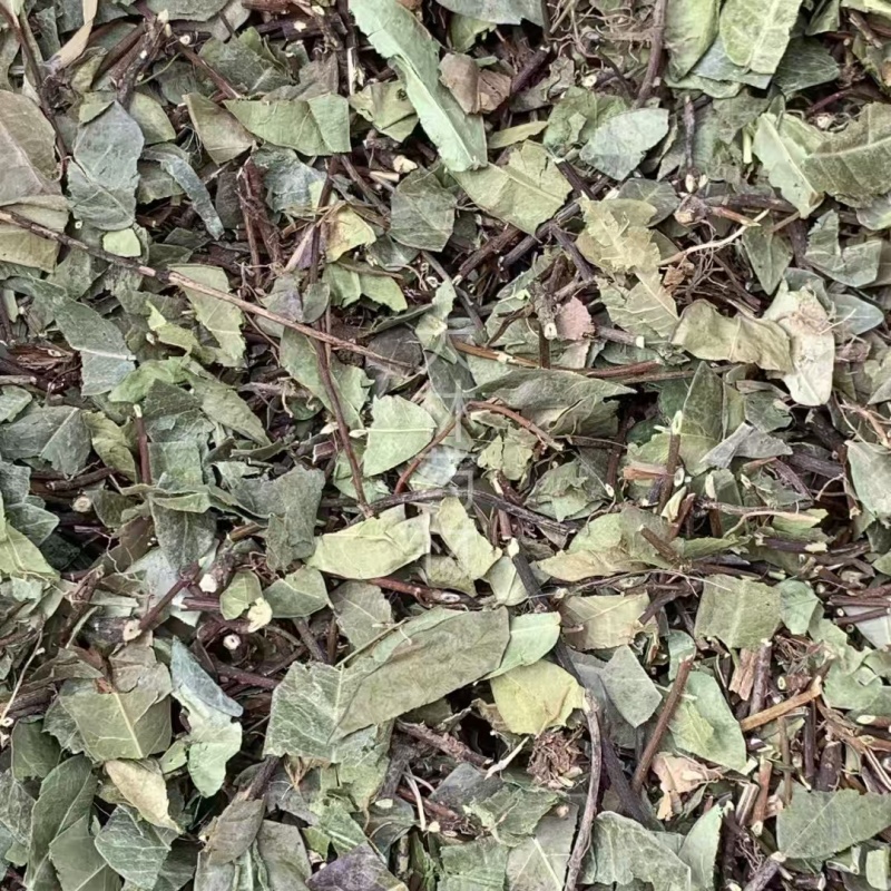络石藤【包邮】三斤起发货可批量可零售量大从优