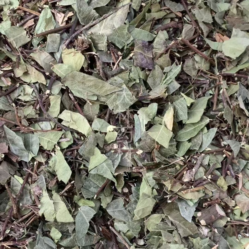 络石藤【包邮】三斤起发货可批量可零售量大从优