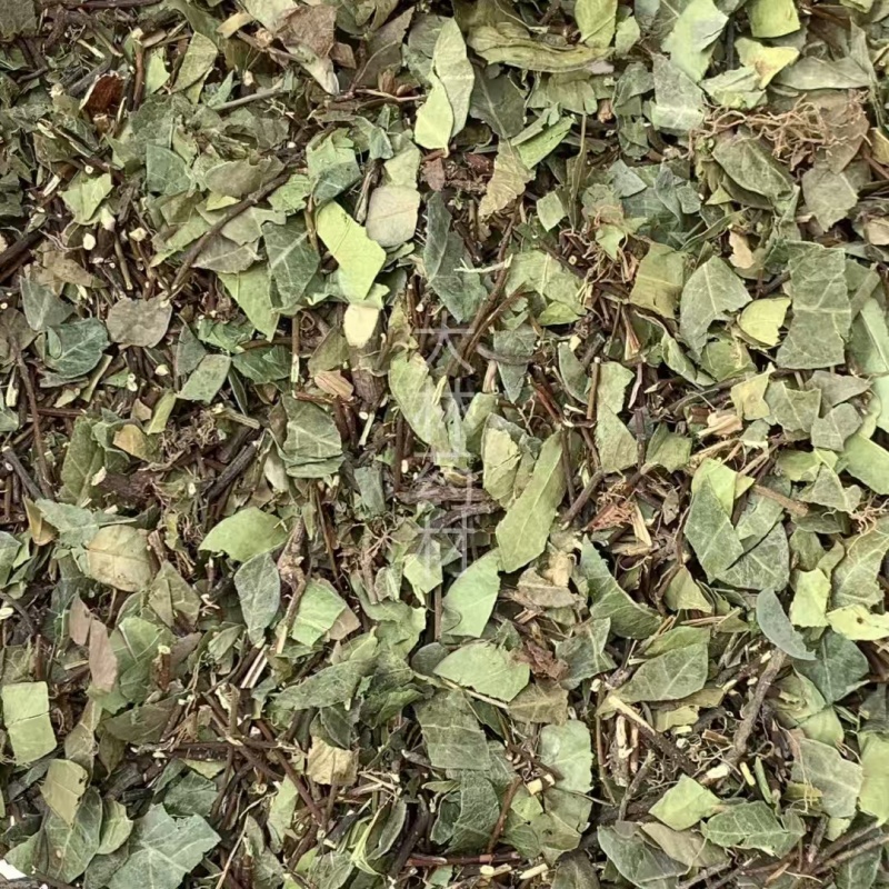 络石藤【包邮】三斤起发货可批量可零售量大从优