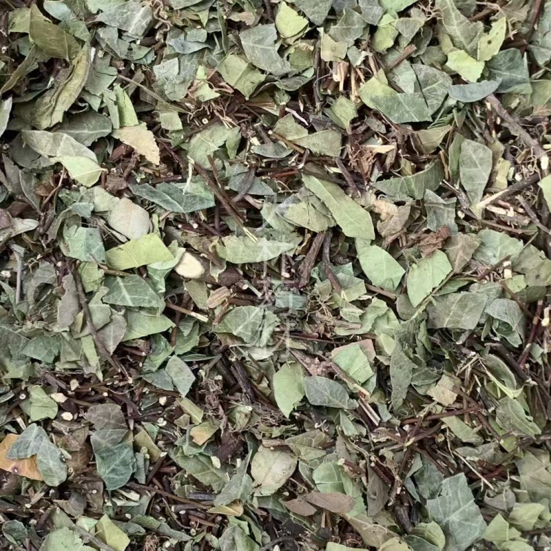 络石藤【包邮】三斤起发货可批量可零售量大从优