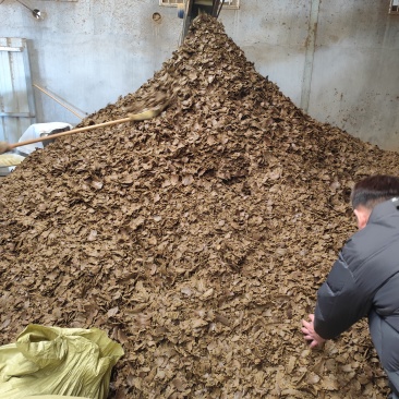 大量现货全国发货量大专车配送棉籽饼有机肥含蛋白质