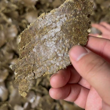 棉籽饼菜籽饼豆饼