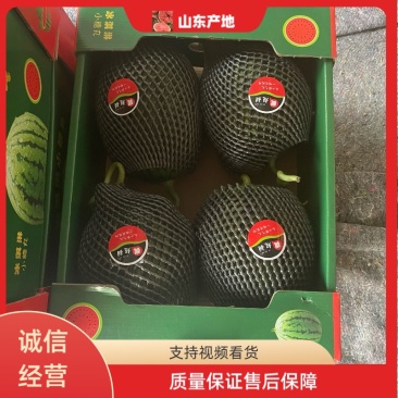 【精品】寒亭全美2K西瓜小糖丸一手货源，欢迎咨询。