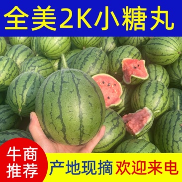 潍坊产地小糖丸西瓜全美2k小吊瓜全国供应