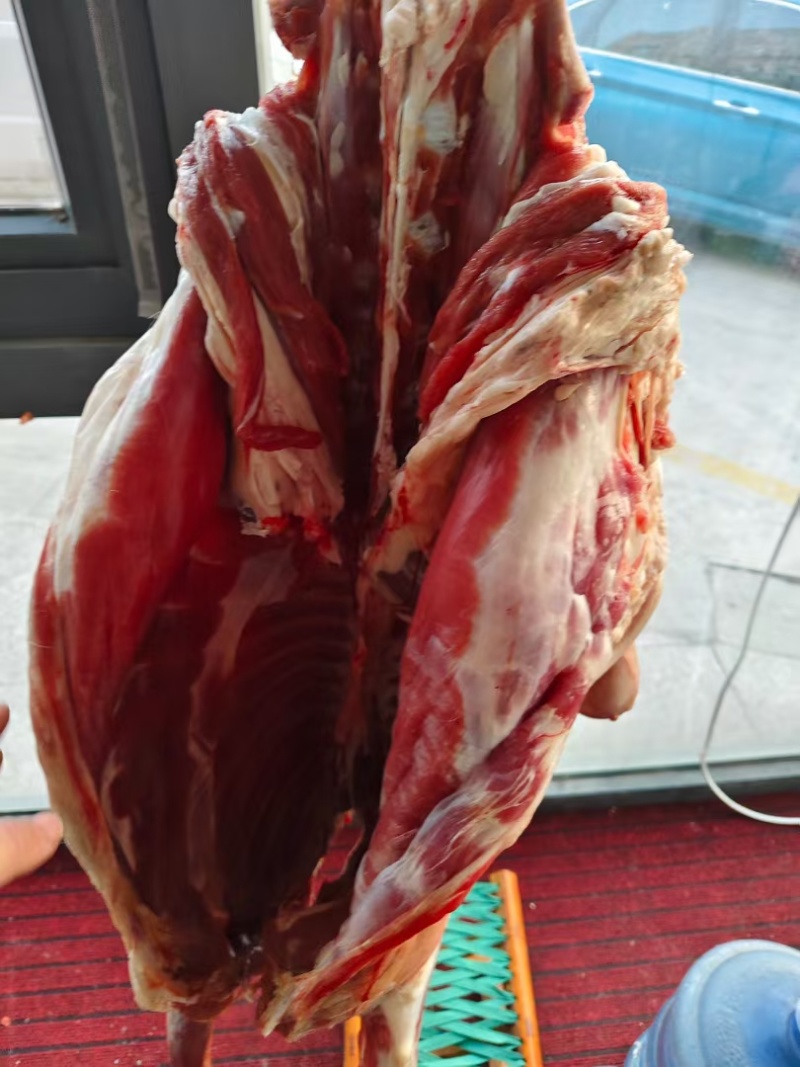 《山羊肉》当天现杀现发常年供应保证质量量大从优