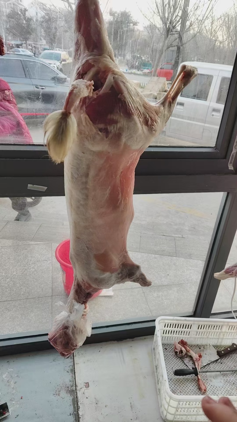 《山羊肉》当天现杀现发常年供应保证质量量大从优