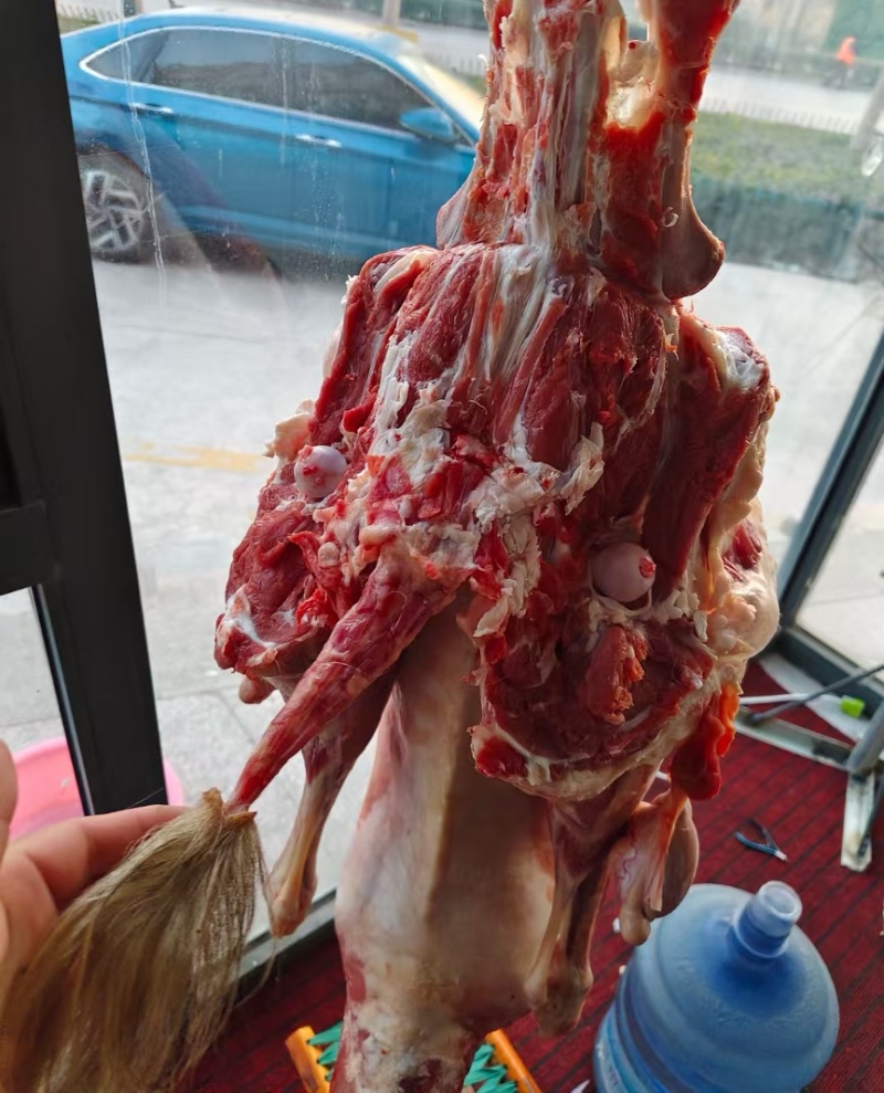 《山羊肉》当天现杀现发常年供应保证质量量大从优