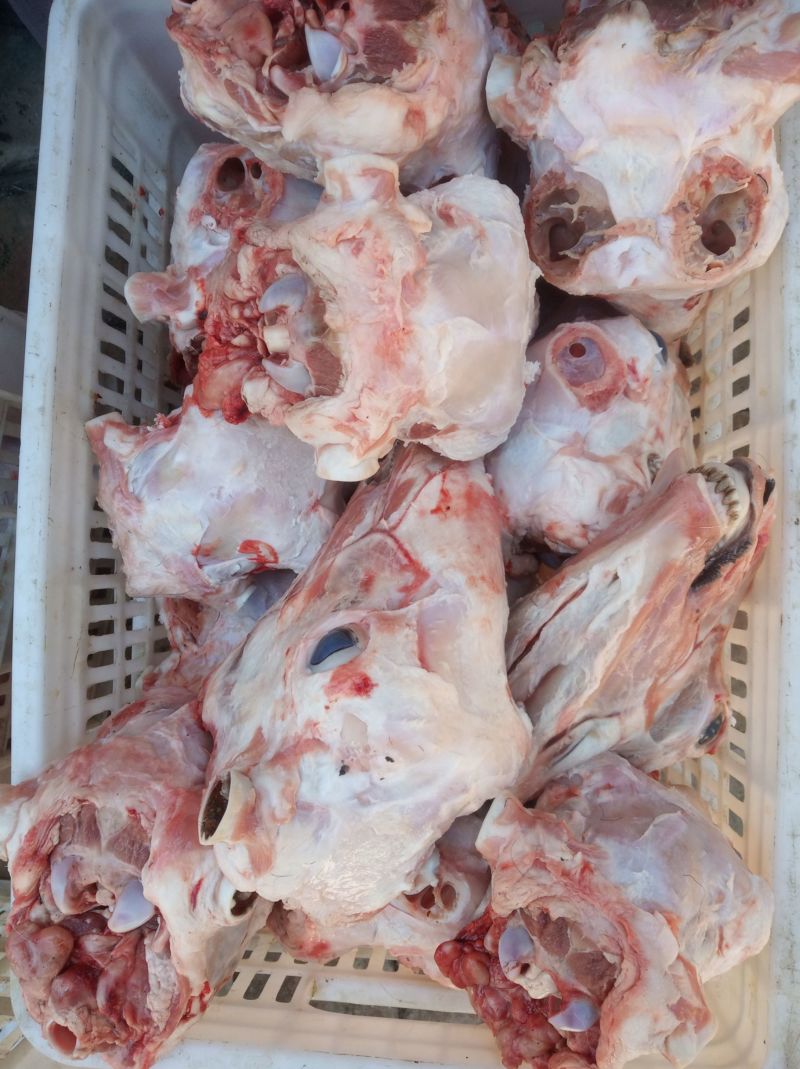 《鲜羊头》当天现杀现发常年稳定供应质量保证量大从优