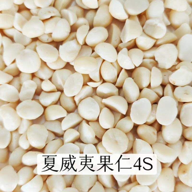 夏威夷果仁4S