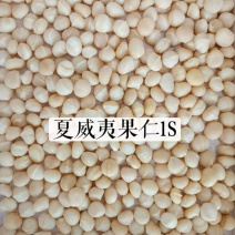 云南夏威夷果坚果干果奶香味原味大颗粒价格实惠