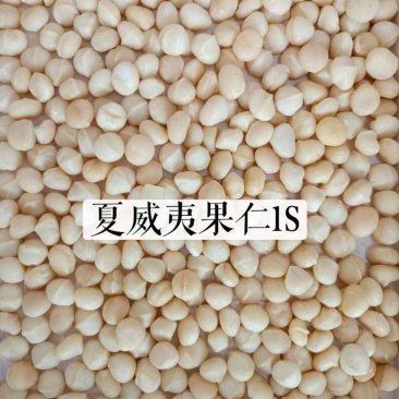云南夏威夷果坚果干果奶香味原味大颗粒价格实惠
