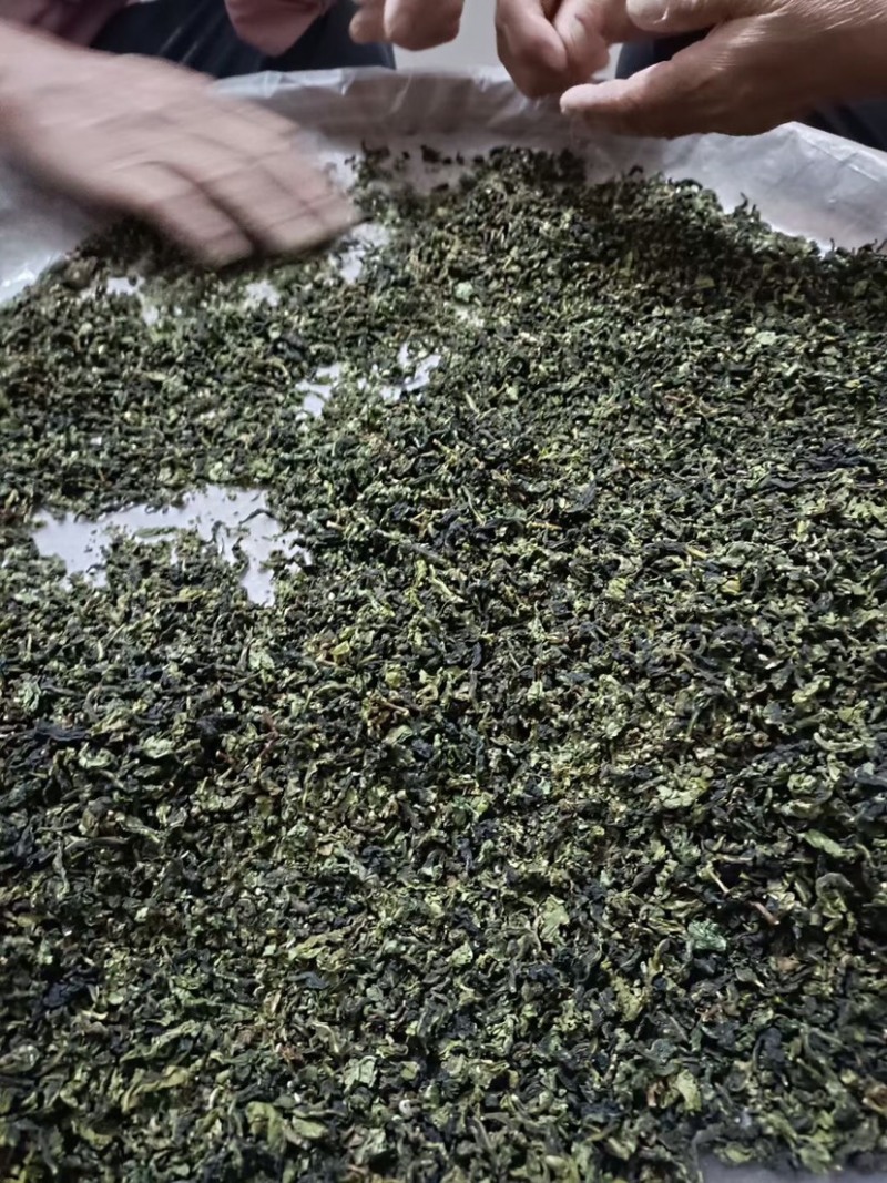 铁观音2024秋季安溪铁观音新茶上市茶农直销