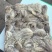小八爪