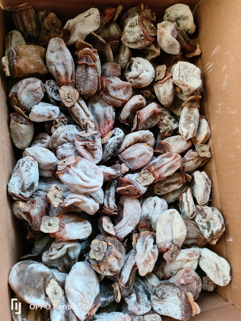牛心柿老树降霜柿饼下检果对接电商，团购，市场