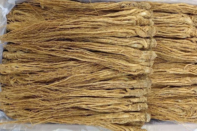 甘肃岷县有硫水洗黄当归品质保证服务周到产地直发