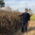春季侧柏苗侧柏小苗柏树苗小侧柏苗品质保证