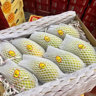 金煌芒一件代发