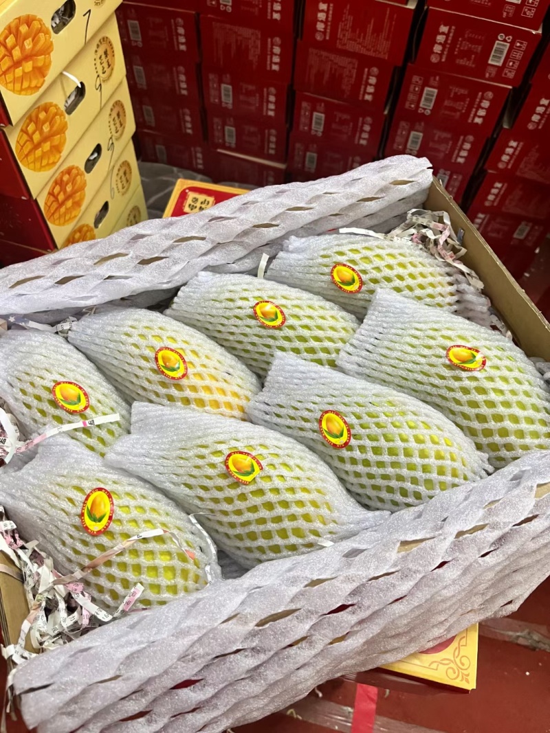 金煌芒一件代发