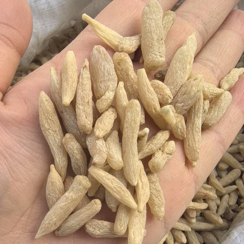 麦冬川麦冬产地货源大货供应七彩百草中药材批发