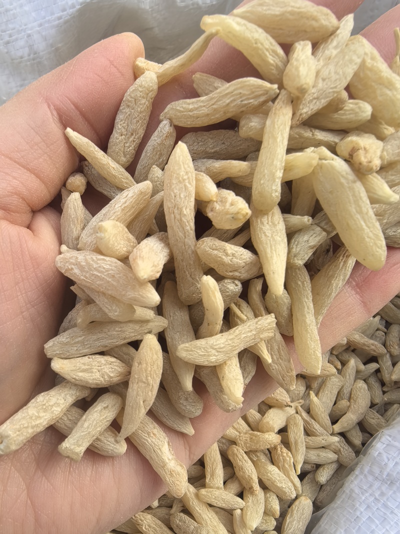 麦冬川麦冬产地货源大货供应七彩百草中药材批发