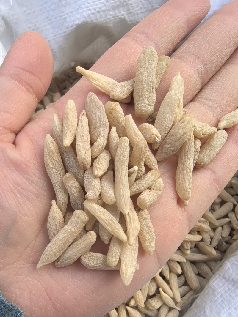 麦冬川麦冬产地货源大货供应七彩百草中药材批发