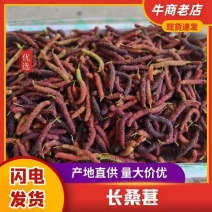 大凉山德昌县鲜桑葚，长桑葚，社区团购商超