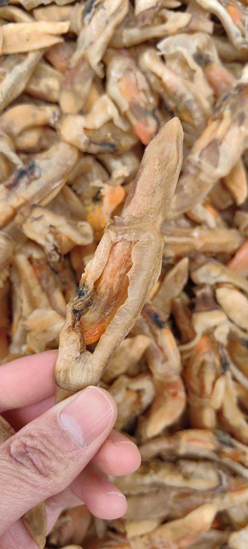 淡干蛏子干，一手货源！量大批发，价格优惠！欢迎合作