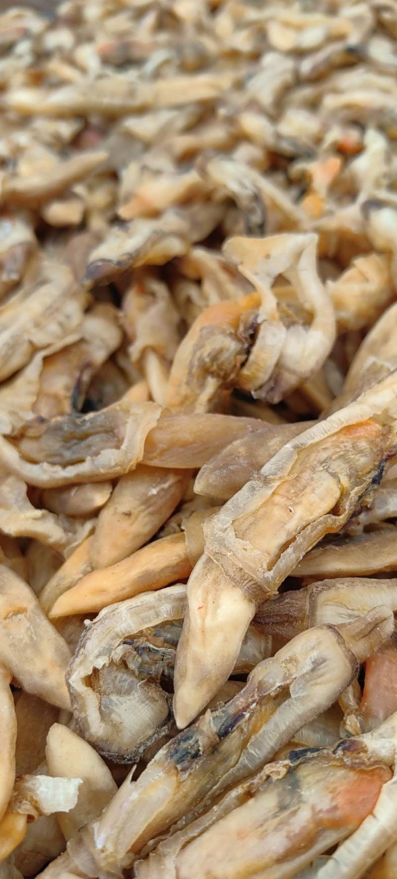 淡干蛏子干，一手货源！量大批发，价格优惠！欢迎合作