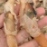 淡干蛏子干，一手货源！量大批发，价格优惠！欢迎合作
