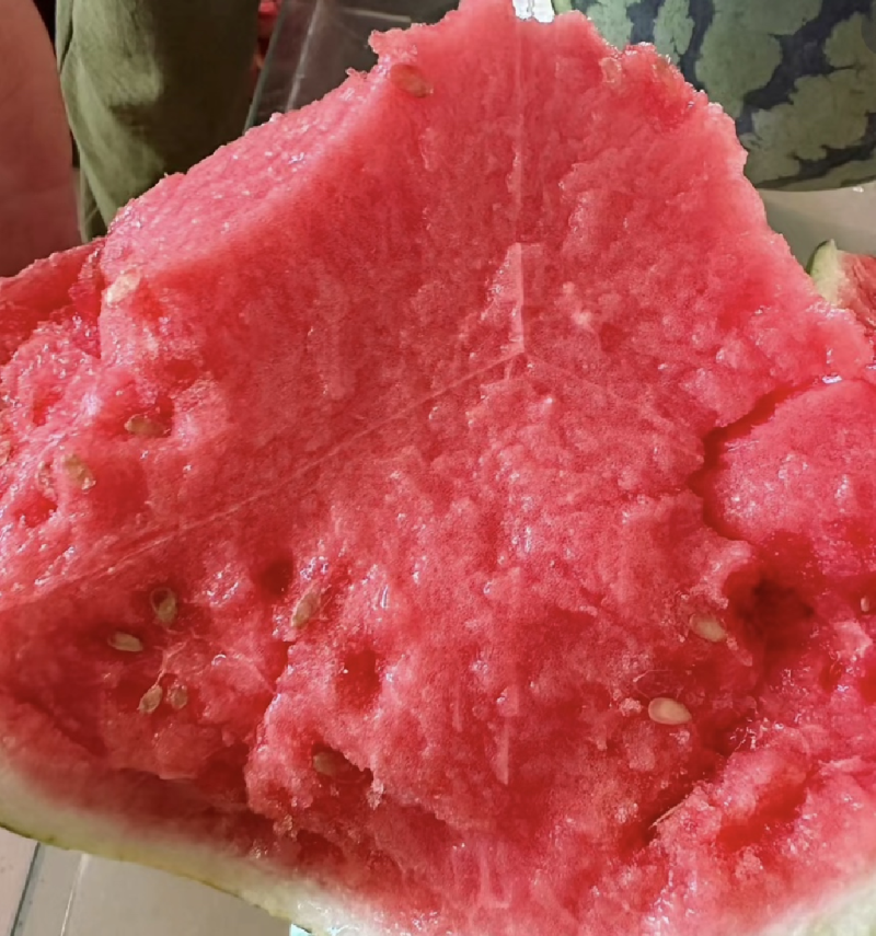 山西无籽美都西瓜红度好糖度高可视频订货诚信经营质量保证