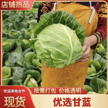 【热卖中】湖北甘蓝现摘现发一手货源可对接全国