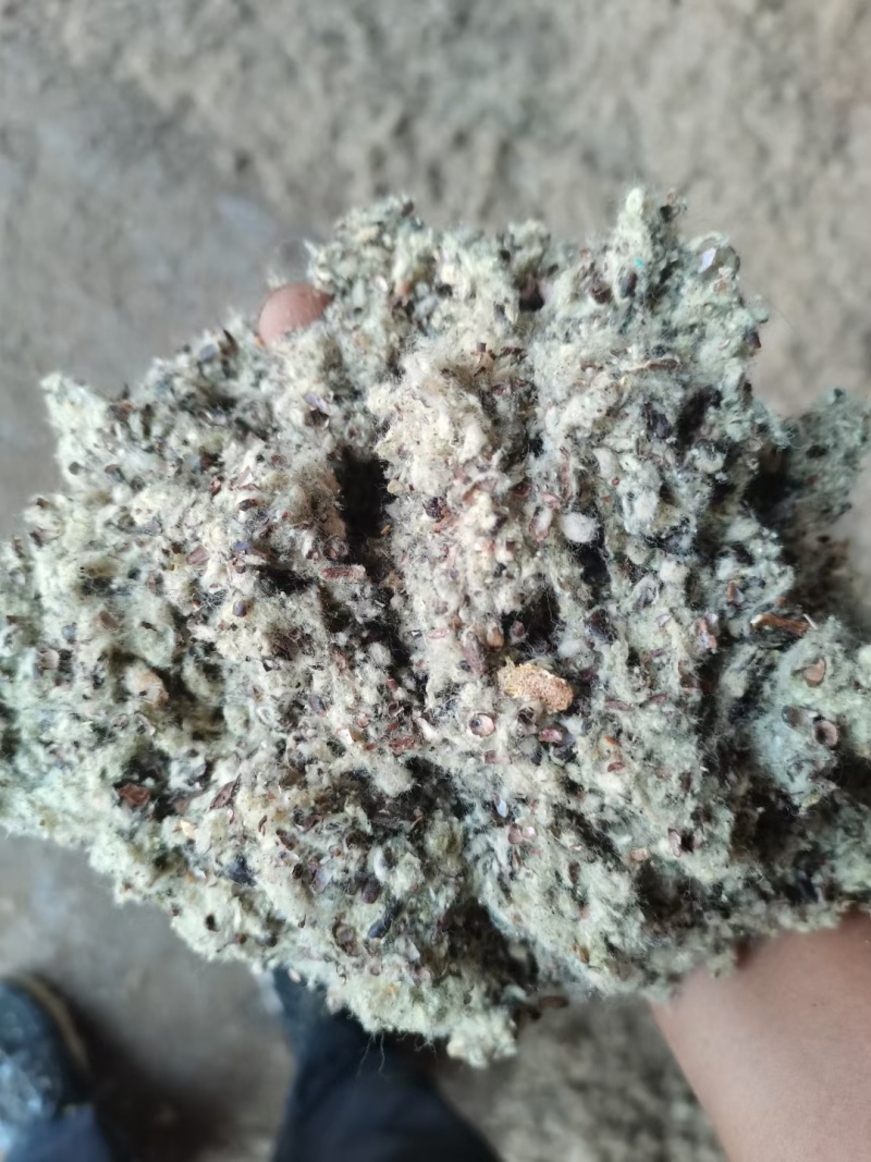 @新疆棉壳销售河北山山东中小壳长绒含粉的棉籽壳