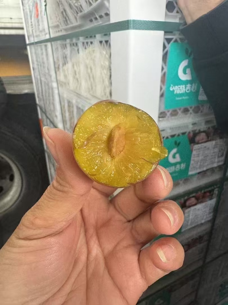 智利西梅