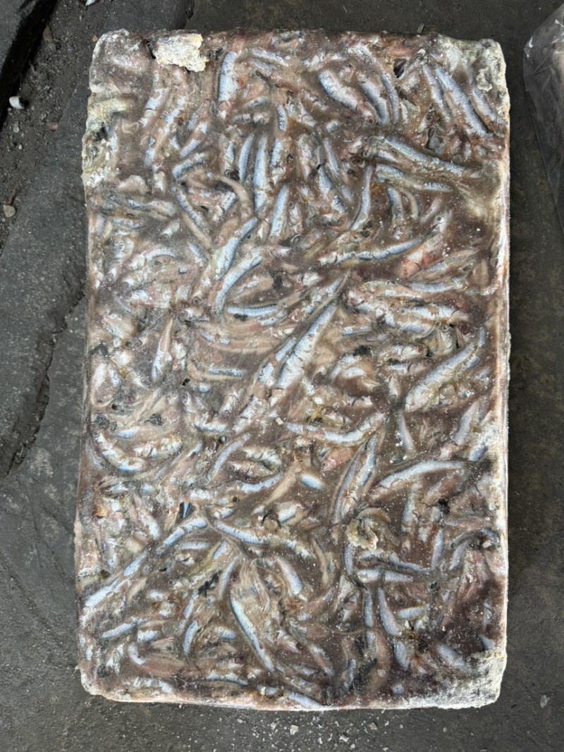 鳀鱼鲜货，根据客户要求进行加工