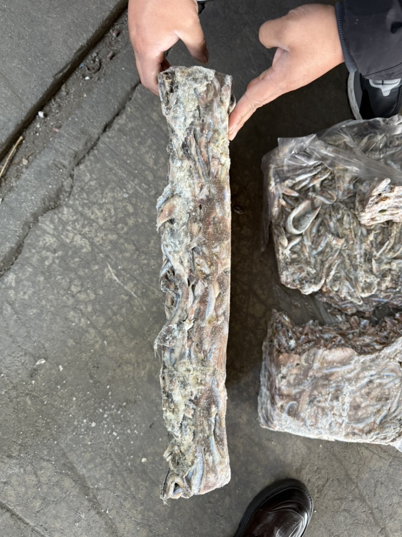 鳀鱼鲜货，根据客户要求进行加工